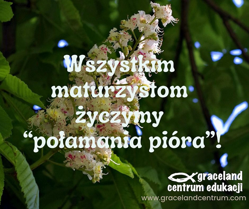 Spotkajmy sie wiosna